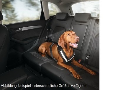 Audi Hundeschutzgurt